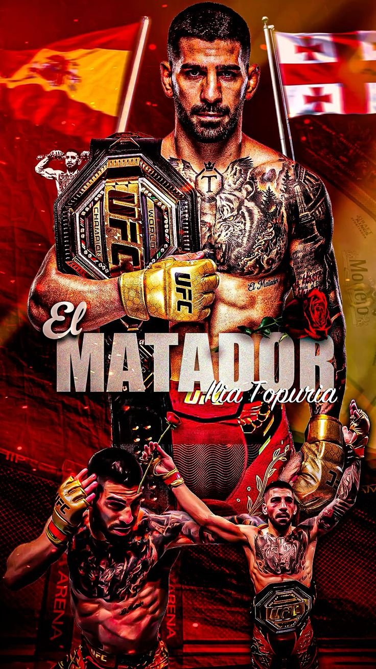 UFC MMA 