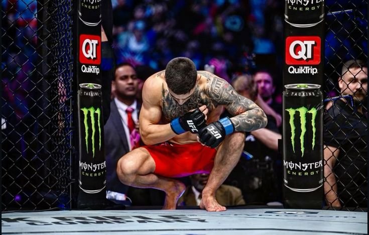 mma ufc