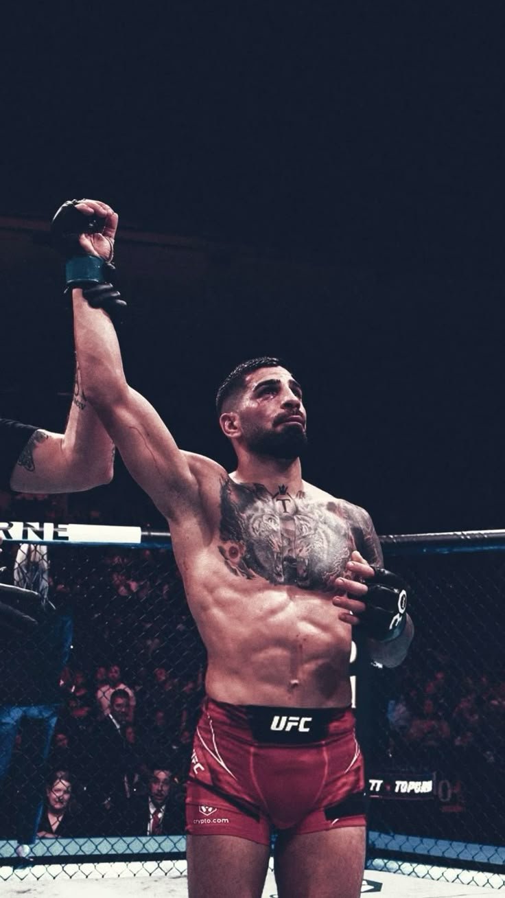 UFC MMA 