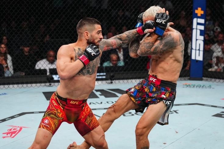 UFC MMA 