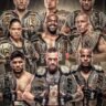 MMA UFC