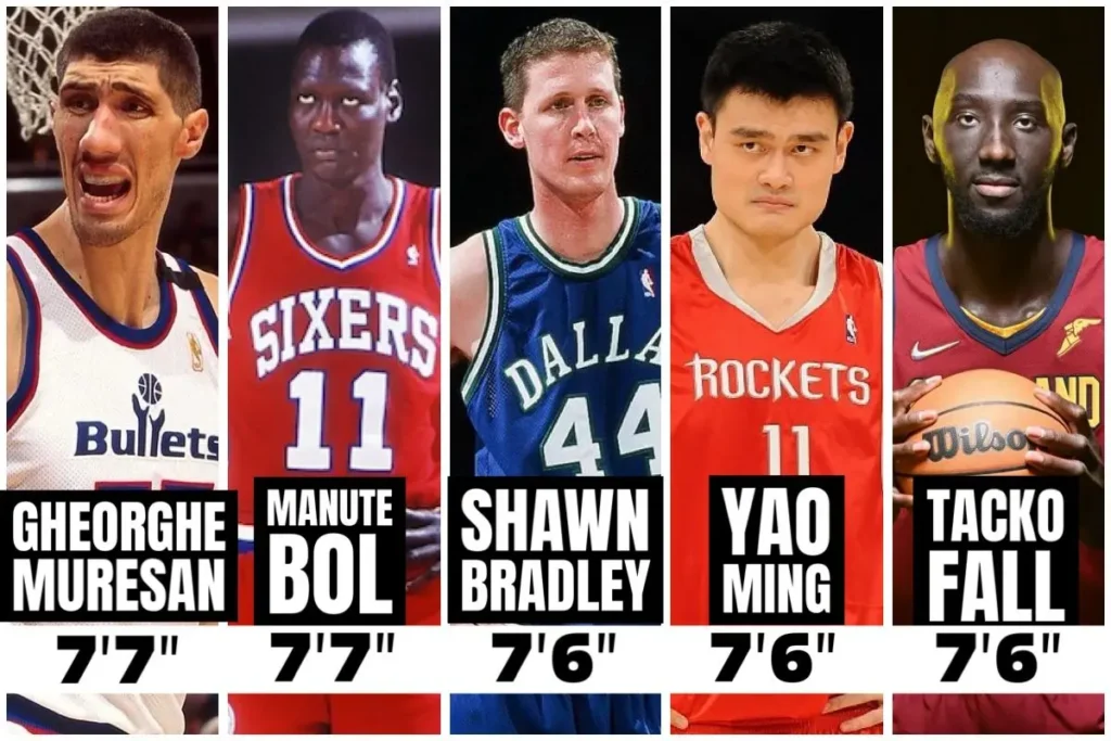 nba gaints